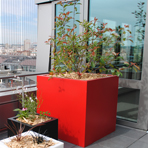 Bacs à plantes carré sur la terrasse d'une société