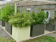 Bacs à plantes pour aménager une terrasse